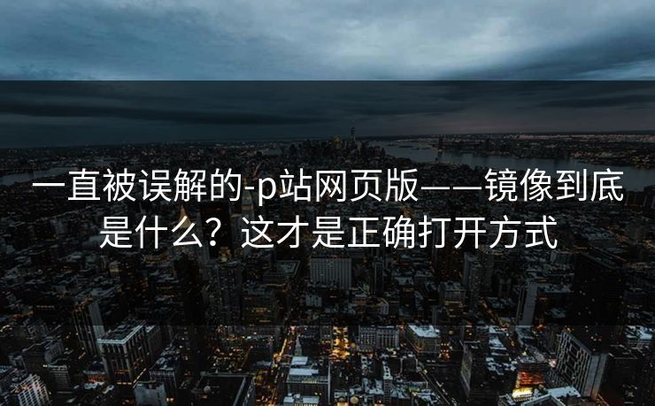 一直被误解的-p站网页版——镜像到底是什么？这才是正确打开方式
