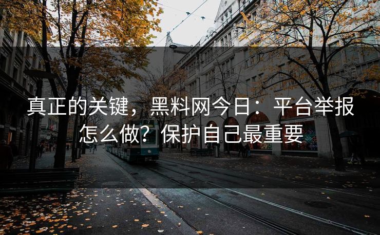 真正的关键，黑料网今日：平台举报怎么做？保护自己最重要