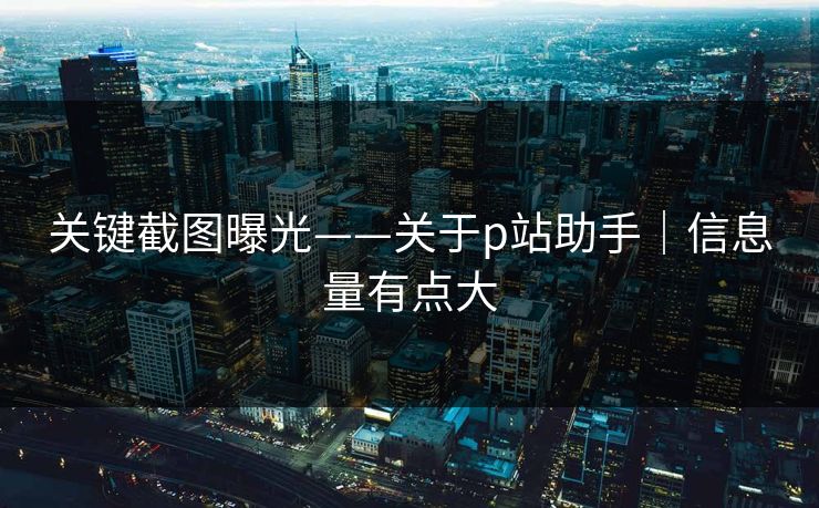 关键截图曝光——关于p站助手｜信息量有点大