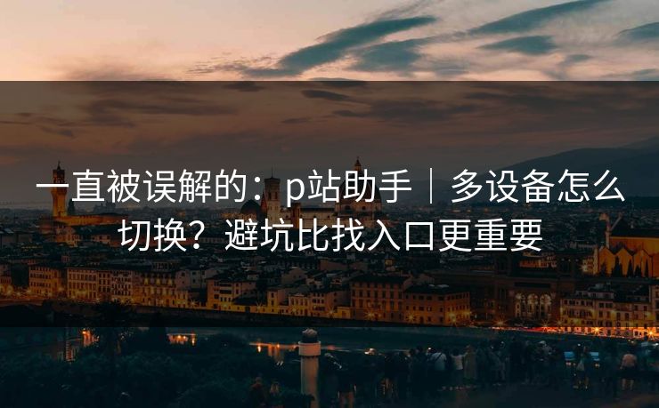 一直被误解的：p站助手｜多设备怎么切换？避坑比找入口更重要
