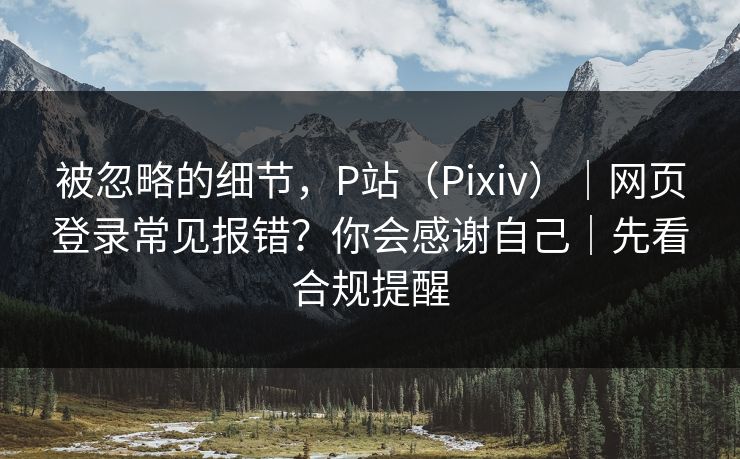 被忽略的细节，P站（Pixiv）｜网页登录常见报错？你会感谢自己｜先看合规提醒