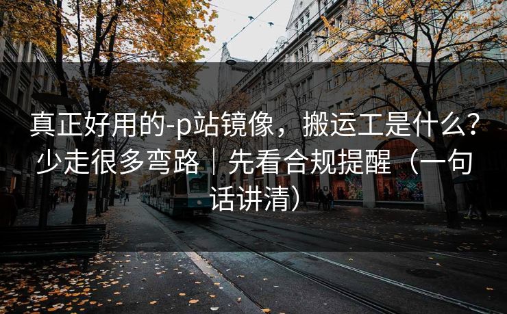 真正好用的-p站镜像，搬运工是什么？少走很多弯路｜先看合规提醒（一句话讲清）