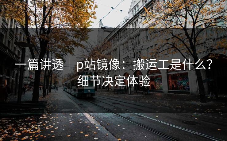 一篇讲透｜p站镜像：搬运工是什么？细节决定体验