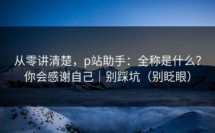 从零讲清楚，p站助手：全称是什么？你会感谢自己｜别踩坑（别眨眼）