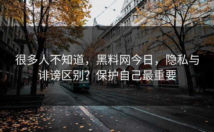 很多人不知道，黑料网今日，隐私与诽谤区别？保护自己最重要