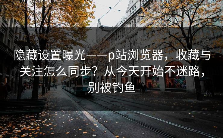 隐藏设置曝光——p站浏览器，收藏与关注怎么同步？从今天开始不迷路，别被钓鱼