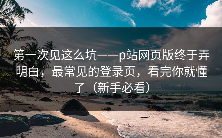 第一次见这么坑——p站网页版终于弄明白，最常见的登录页，看完你就懂了（新手必看）